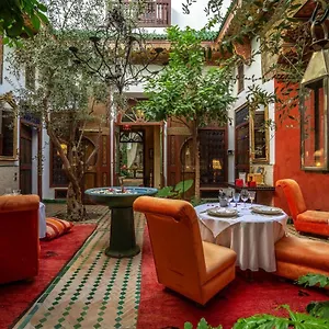 Ayadina & Marocco